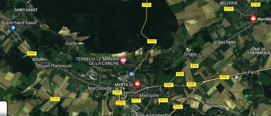 Myrtille à Auchy-lès-Hesdin