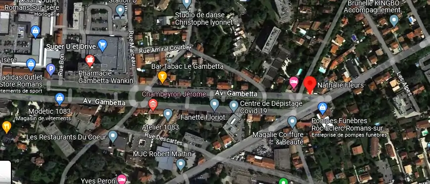 Livraison fleurs à Romans-sur-Isère