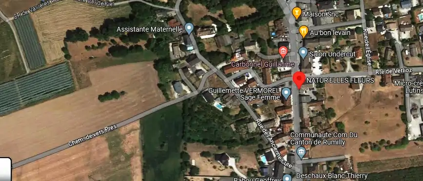 Livraison fleurs à Vallières-sur-Fier