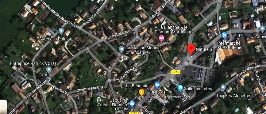 Livraison fleurs à Benet