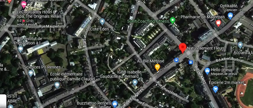 Livraison fleurs à Rennes