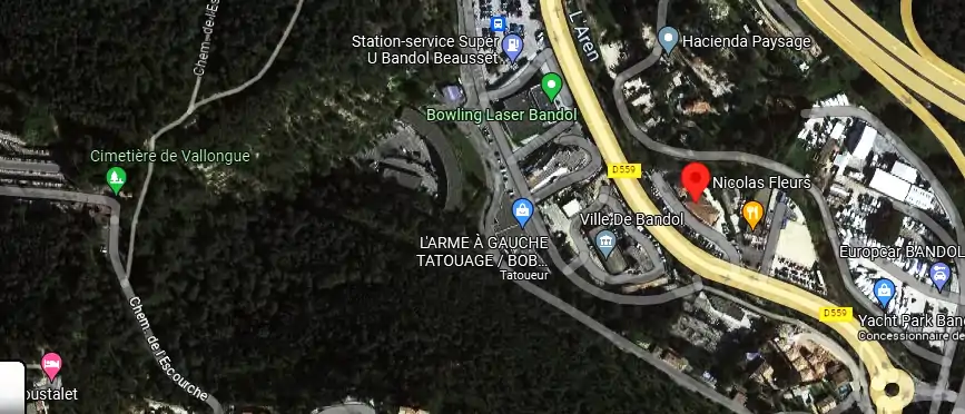 Livraison fleurs à Bandol