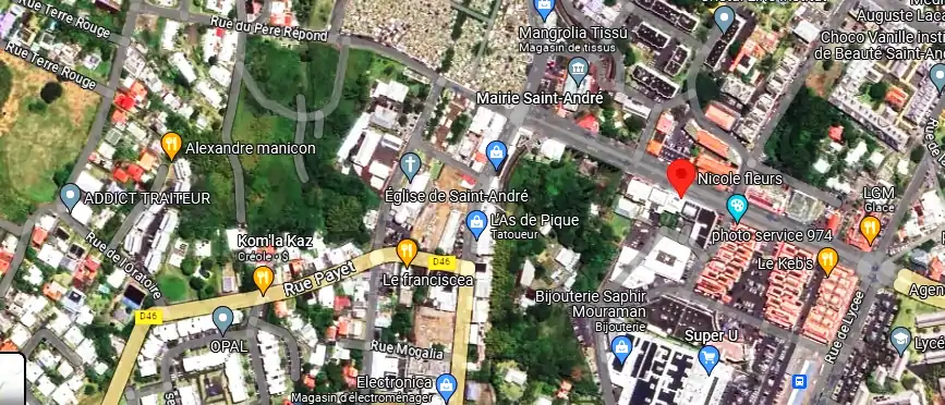 Livraison fleurs à 176 Av. de la République, Saint-André 97440, La Réunion