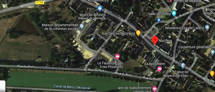 Livraison fleurs à Noyers-sur-Cher