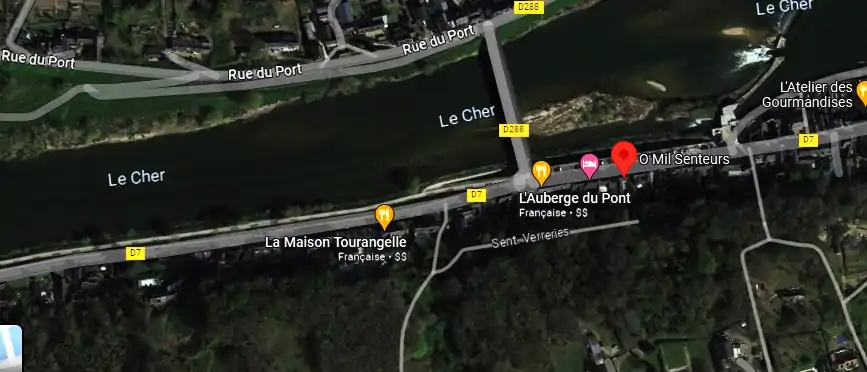 Livraison fleurs à Savonnières