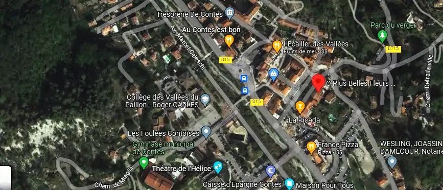 Livraison fleurs à Contes