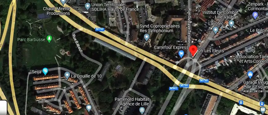 Livraison fleurs à Lille
