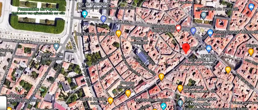 Livraison fleurs à Montpellier
