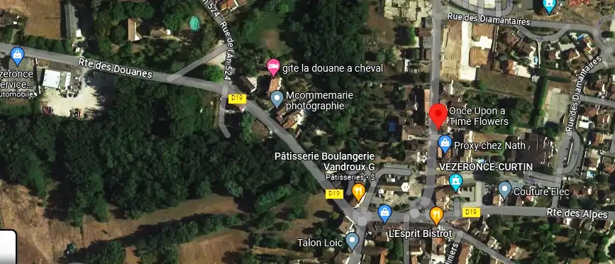 Livraison fleurs à Vézeronce-Curtin