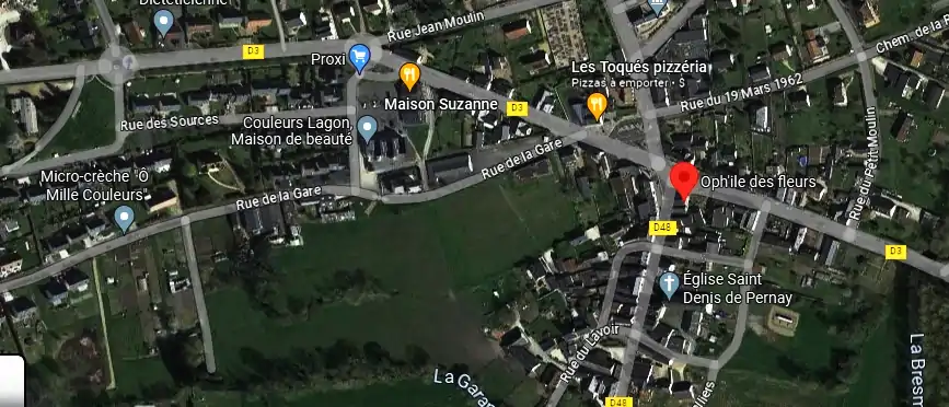 Livraison fleurs à Pernay