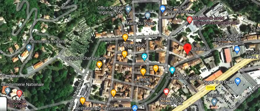 Livraison fleurs à Le Vigan