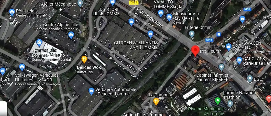 Pic Fleurs à Lille