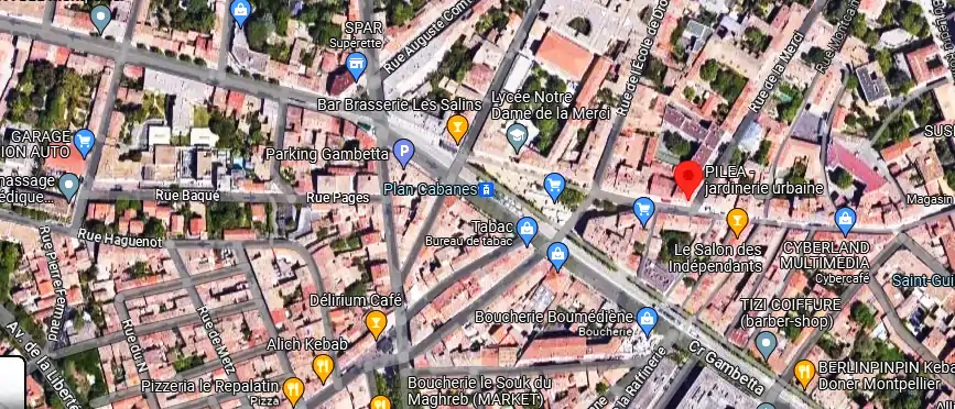 Livraison fleurs à Montpellier