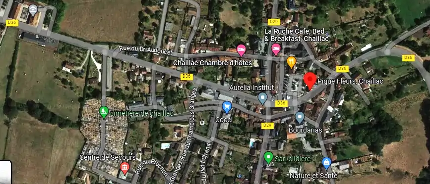 Livraison fleurs à Chaillac