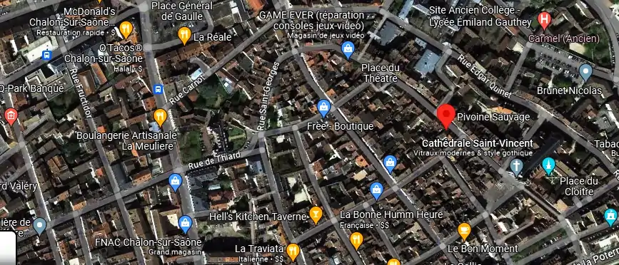 Livraison fleurs à Chalon-sur-Saône