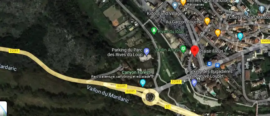 Livraison fleurs à Villeneuve-Loubet