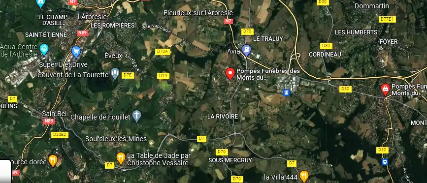 Livraison fleurs à La Tour-de-Salvagny