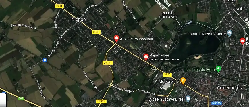 Livraison fleurs à Nieppe