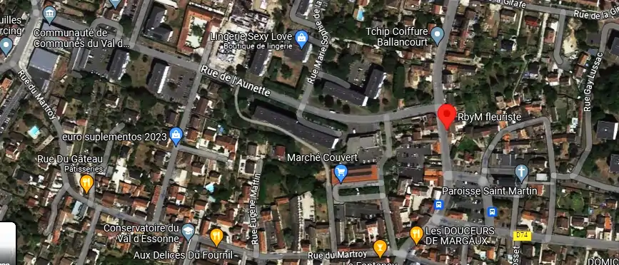 Livraison fleurs à Ballancourt-sur-Essonne