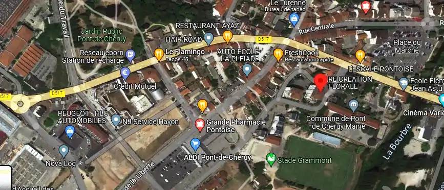 Livraison fleurs à Pont-de-Chéruy