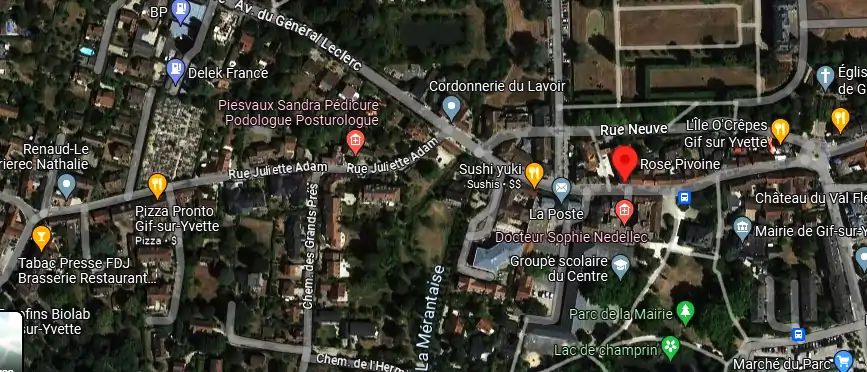 Livraison fleurs à Gif-sur-Yvette