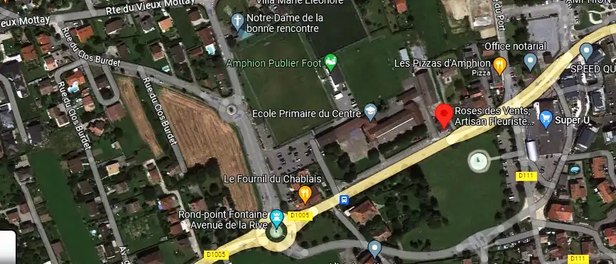 Livraison fleurs à Publier