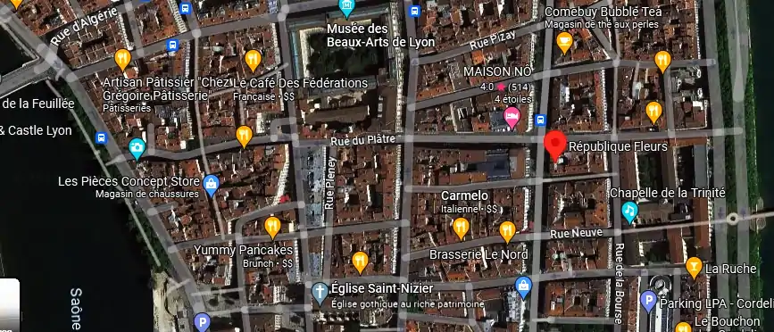 Livraison fleurs à Lyon