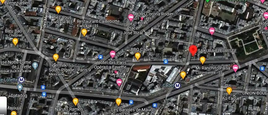 Livraison fleurs à Paris