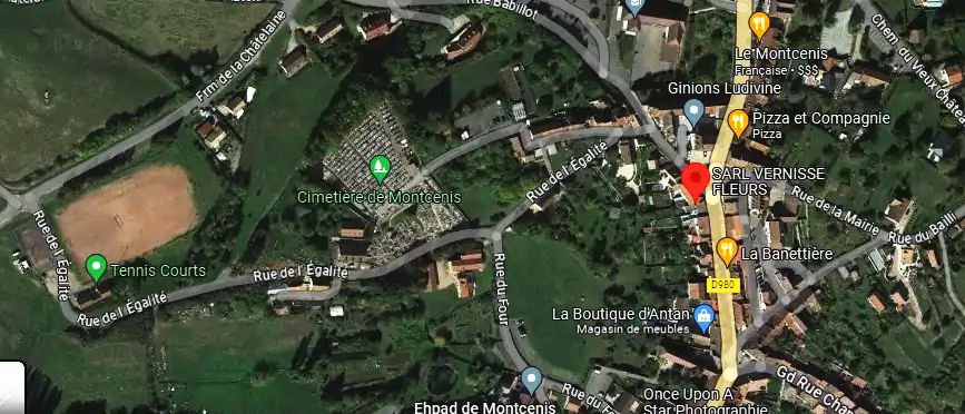 Livraison fleurs à Montcenis