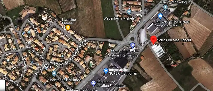 Livraison fleurs à Frontignan