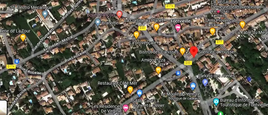 Livraison fleurs à Fontvieille