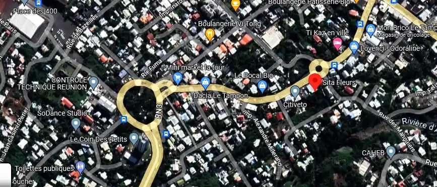 Livraison fleurs à 40 rue Marius et Ary Leblond, Tampon (Le 97430, La Réunion