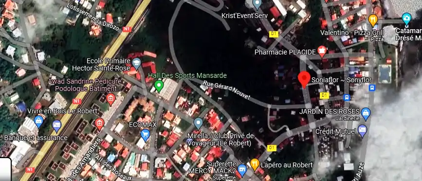 Livraison fleurs à 6 Rue Pere Labat, Le Robert 97231, Martinique