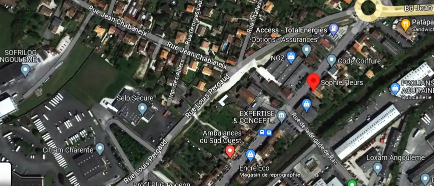 Livraison fleurs à Angoulême