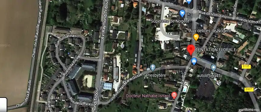 Livraison fleurs à Nogent-sur-Vernisson