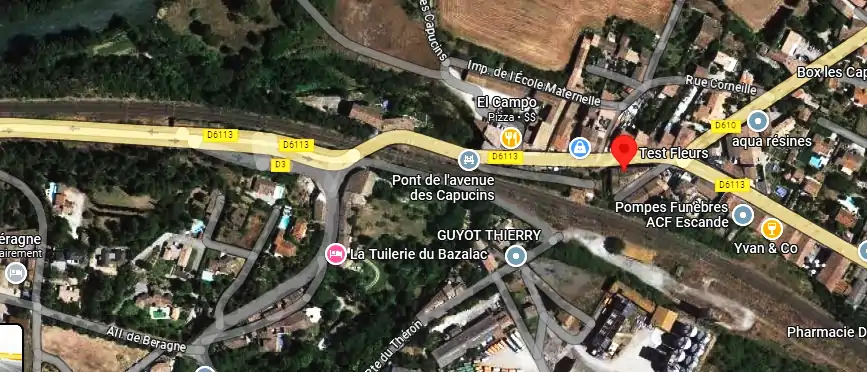Livraison fleurs à Trèbes