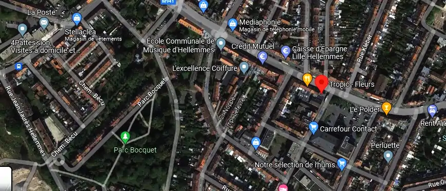 Livraison fleurs à Lille