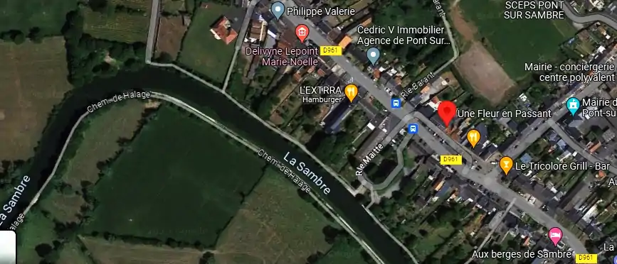 Livraison fleurs à Pont-sur-Sambre