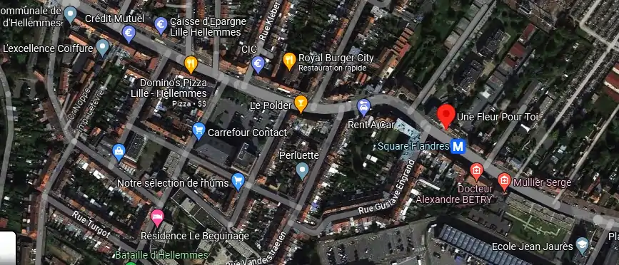 Livraison fleurs à Lille