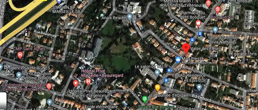 Livraison fleurs à Marseille