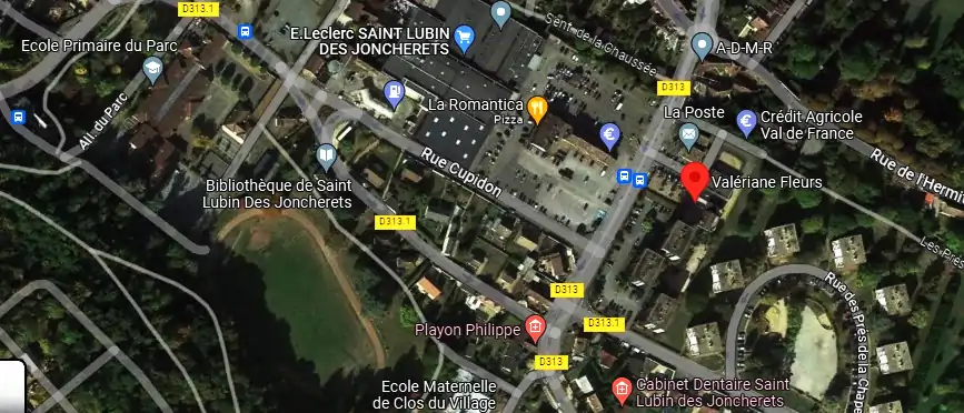 Livraison fleurs à Saint-Lubin-des-Joncherets