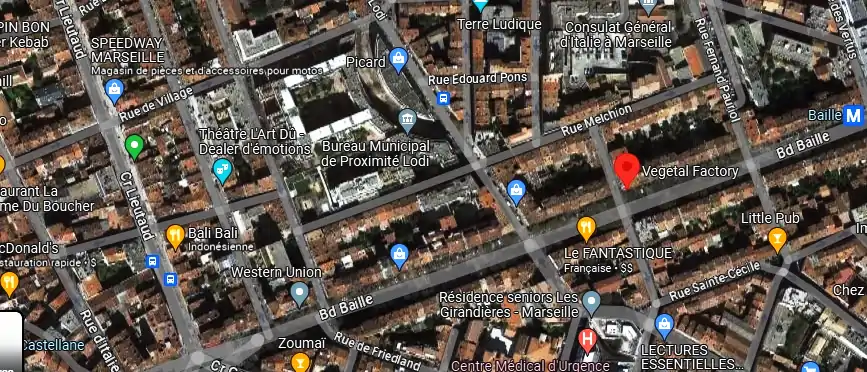 Livraison fleurs à Marseille