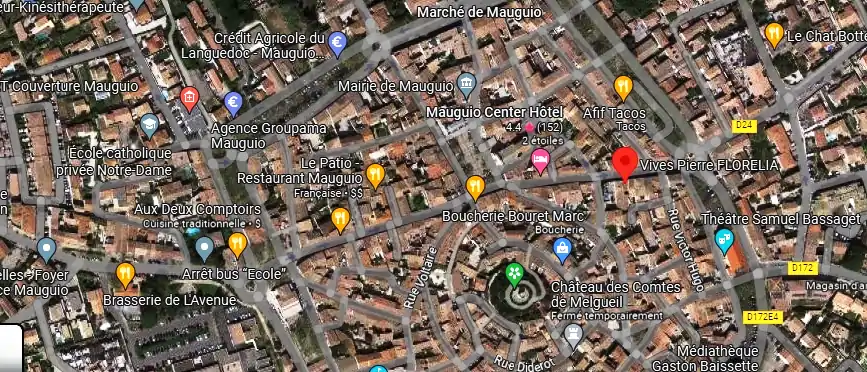 Livraison fleurs à Mauguio