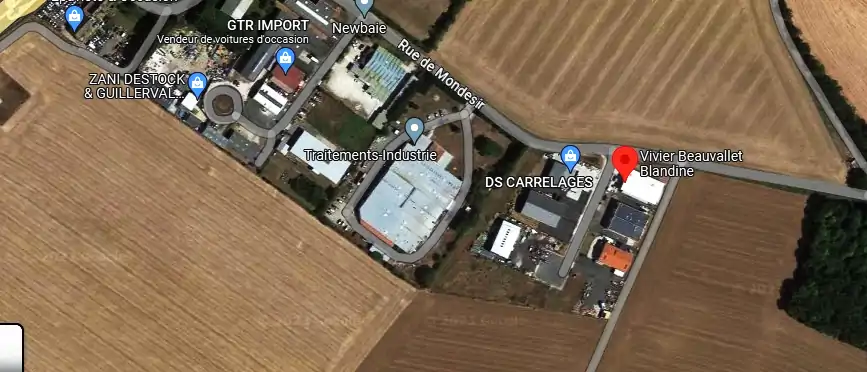 Livraison fleurs à Guillerval