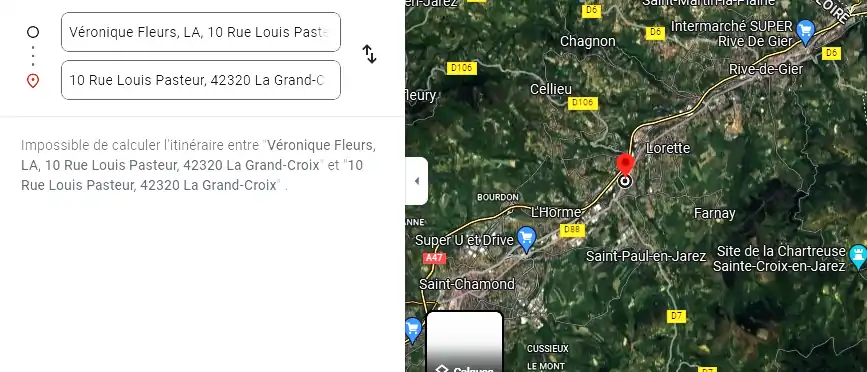 Livraison fleurs à La Grand-Croix