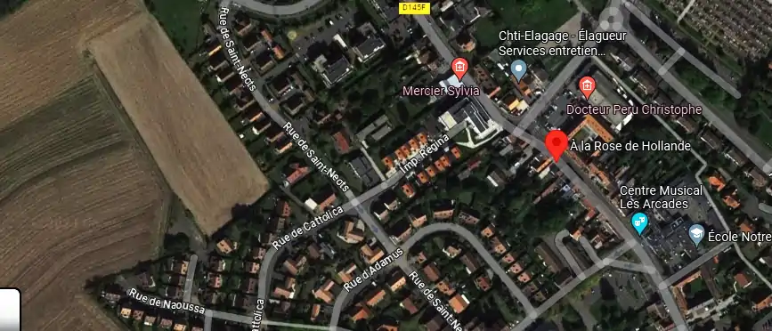 Livraison fleurs à Faches-Thumesnil