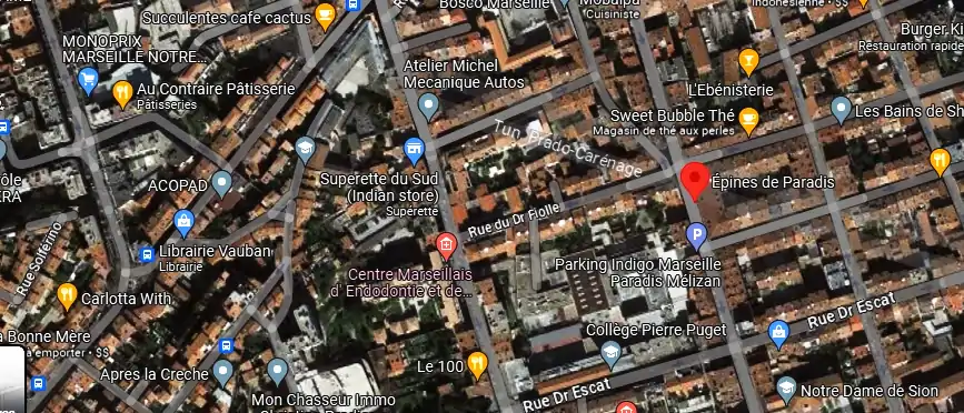 Livraison fleurs à Marseille