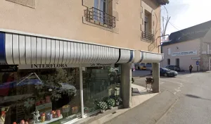 Baron Fleurs à Ussel