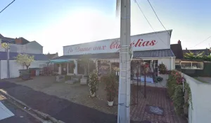 LA DAME AUX CAMELIAS à Vierzon