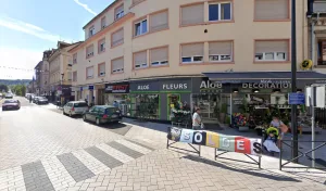 Aloé Fleurs Forbach à Forbach